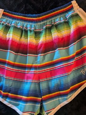 Tyler's Multicolor Striped Women’s Athletic Shorts — Rainbow Stripe XL